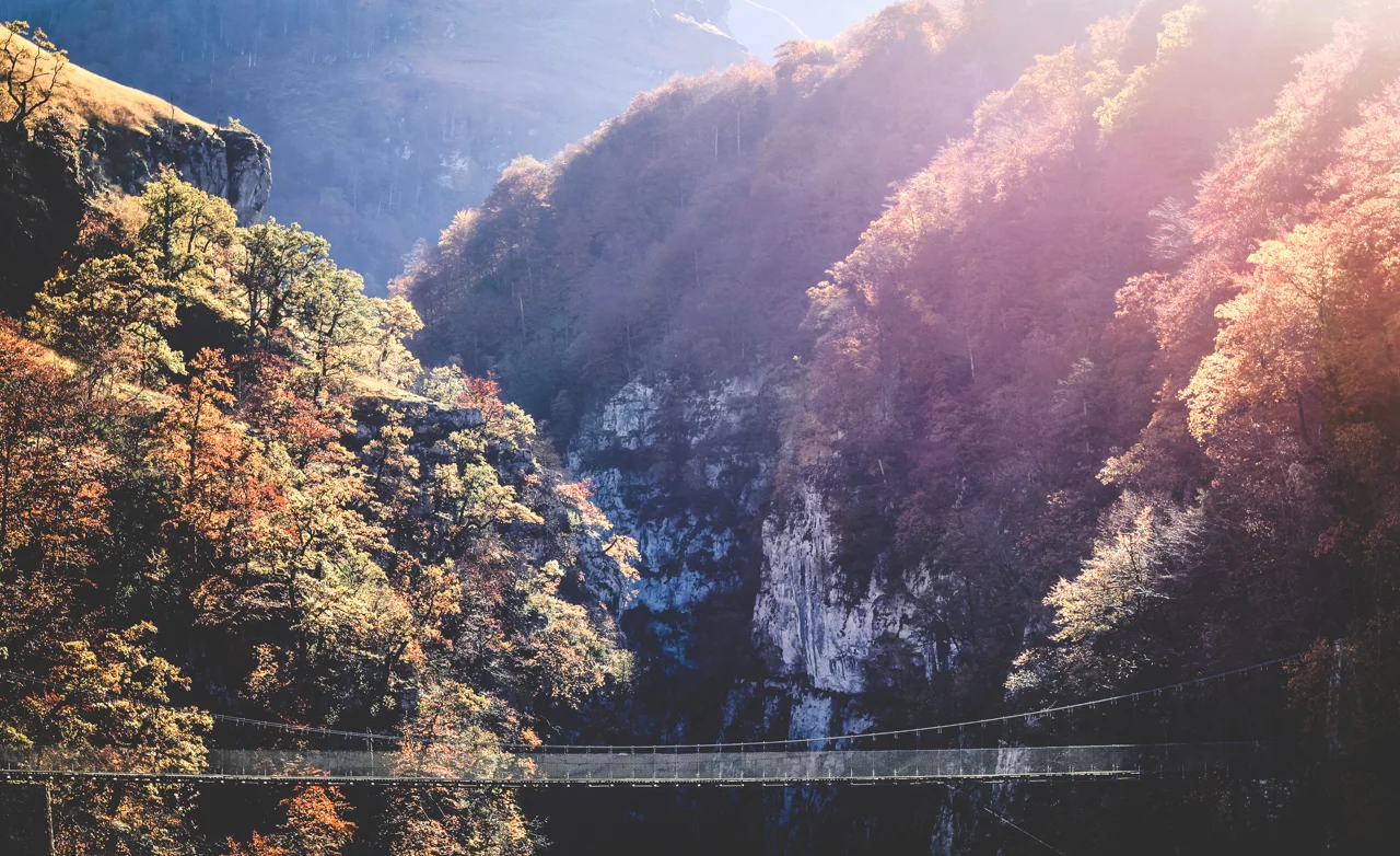 4-HOLZARTE-NEWFILTER-2018.jpg