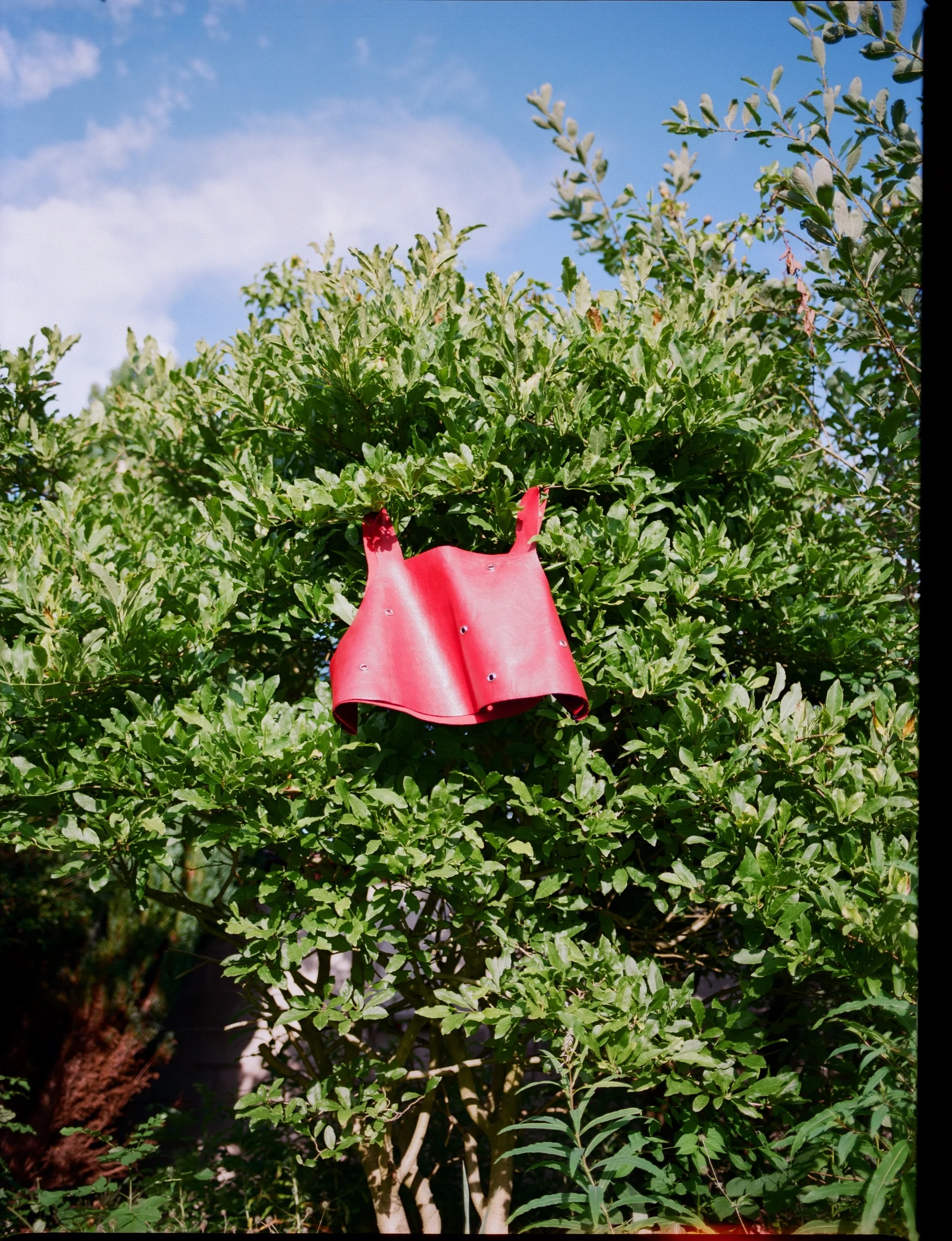 Red Pleather Binder no.1 - (2019)