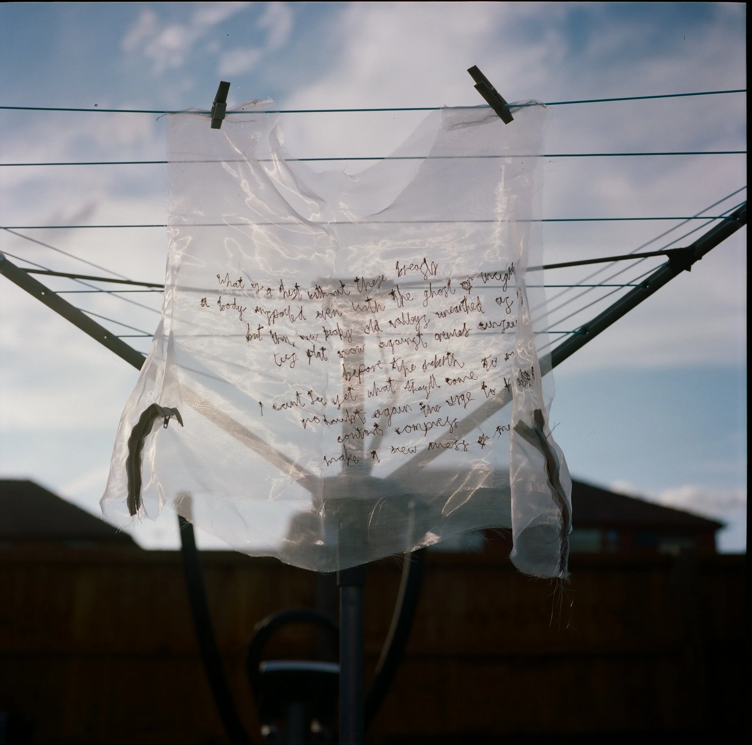 Organza Binder no.1 - (2019)