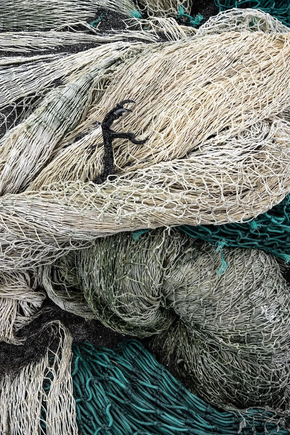 A black crow's foot emerges from discarded fishing nets