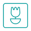 Macro icon