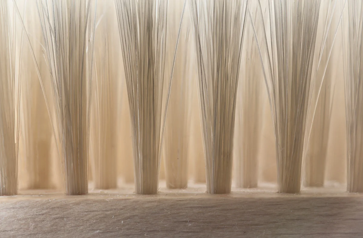 Ian-Gilmour-Bristles-CUPOTY-1200px.jpg