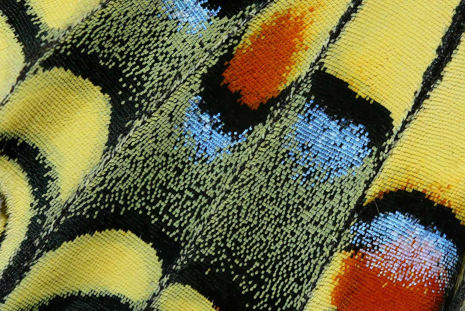 Hasan Baglar | Woven