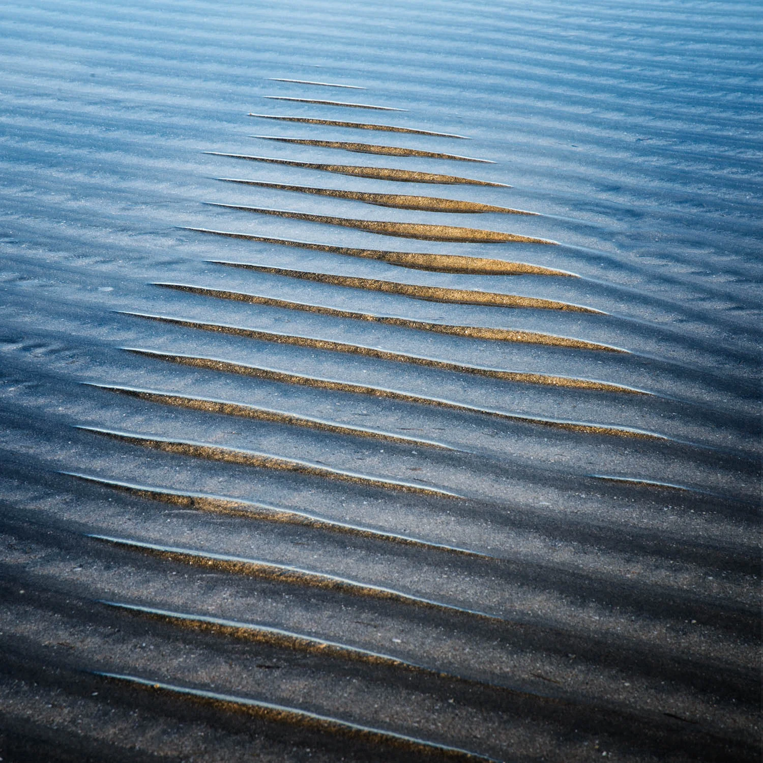 Nora Kirkbak | Winter Sun