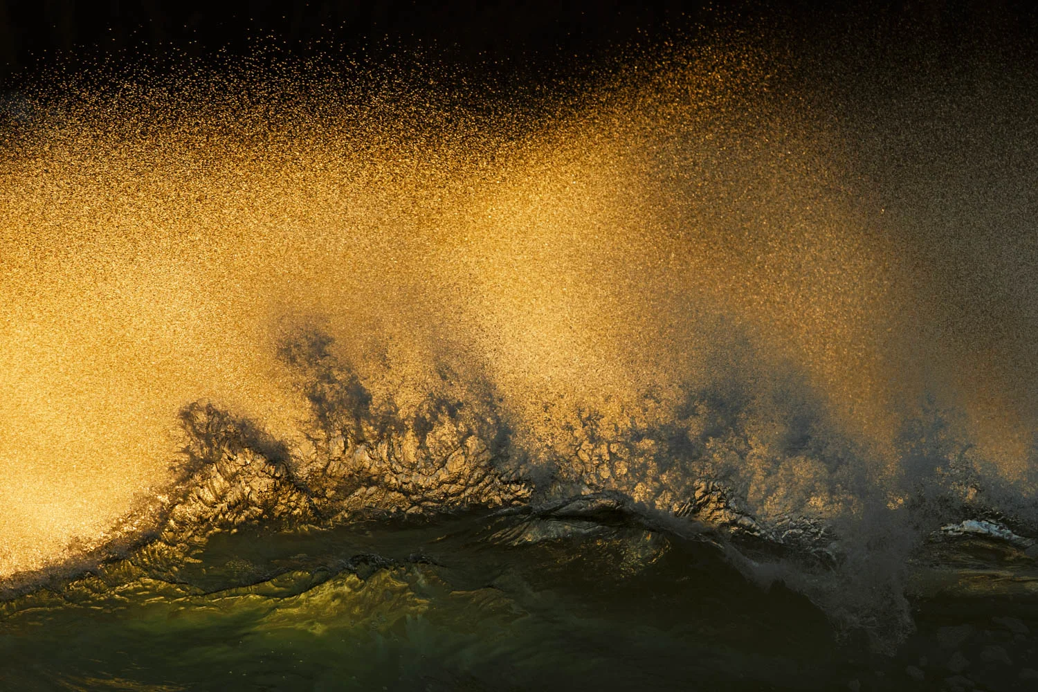 Radomir Jakubowski | The Wave