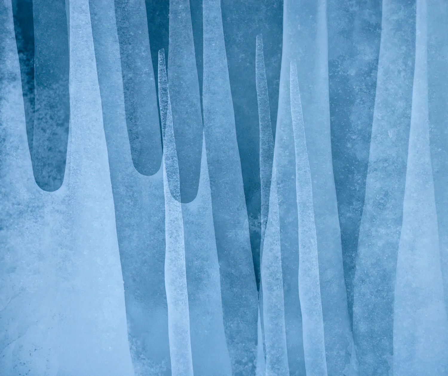Lizzie Shepherd | Icicles