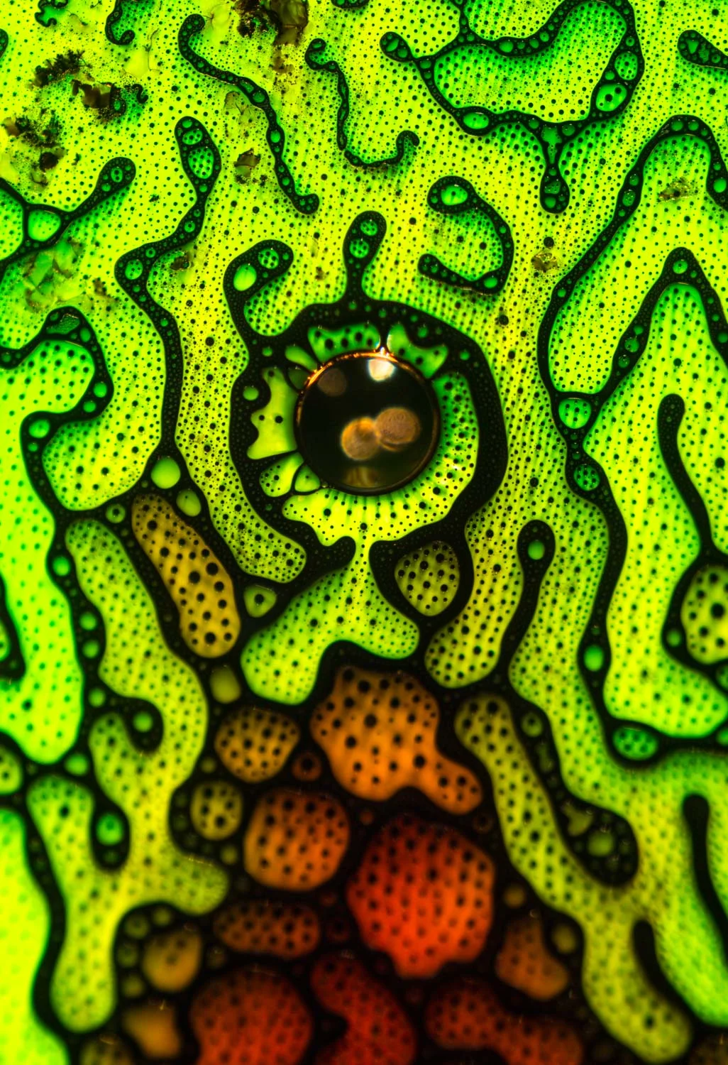 Justin Zoll | Ferrofluid 3