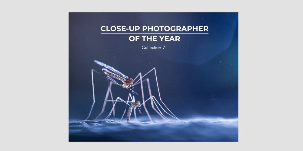 CUPOTY 7 book cover long.jpg