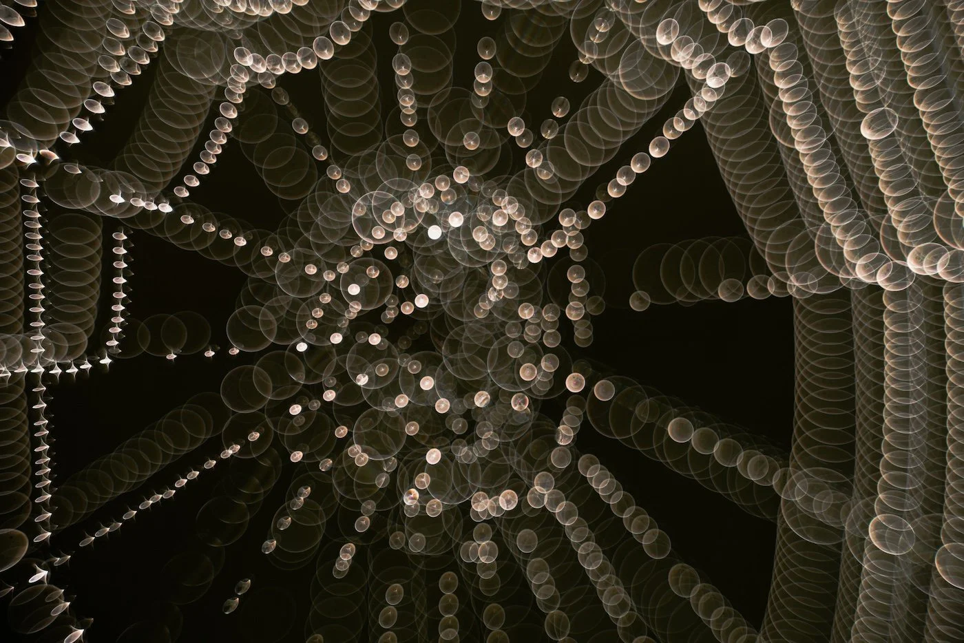 61-Arachnids-Ingrid-Vekemans-TheAbyss.jpg