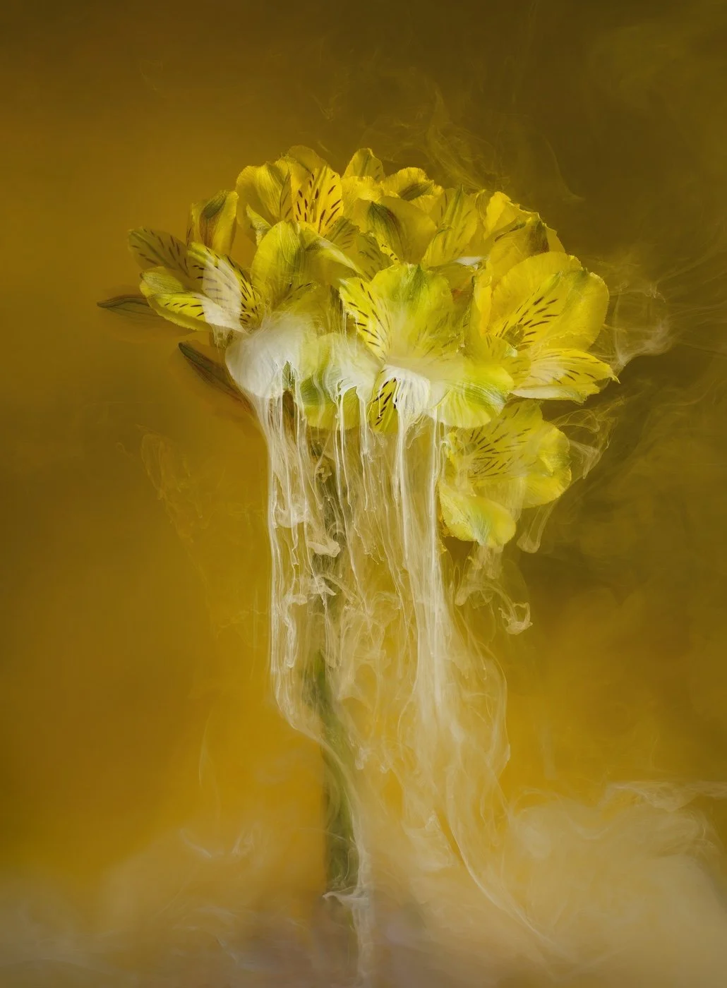 45-StudioArt-Angi-Wallace-PeruvianGold.jpg