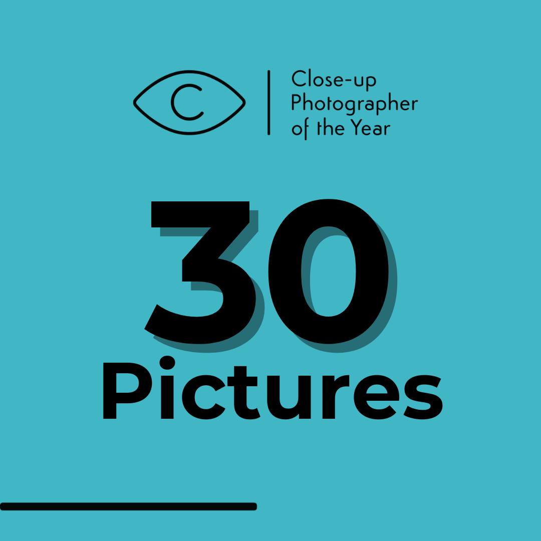 30 pictures