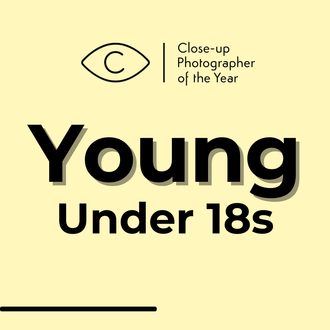 Young CUPOTY