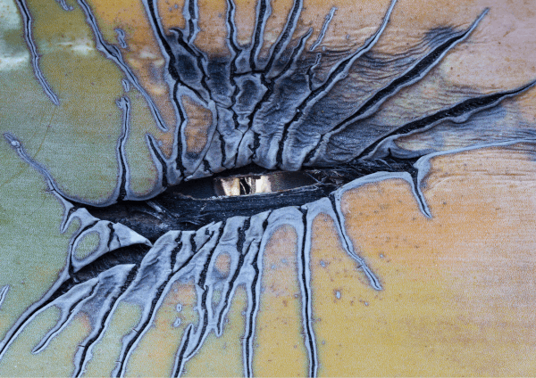 A selection of images on a Death & Decay theme to inspire