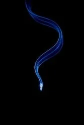 Galice Hoarau, CUPOTY 2 overall winner, Eel Larva