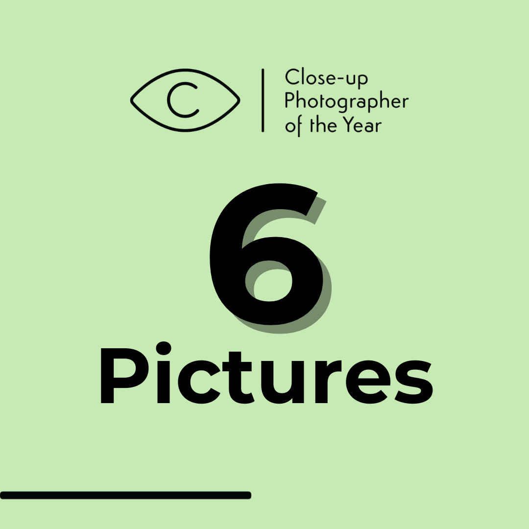 6 pictures