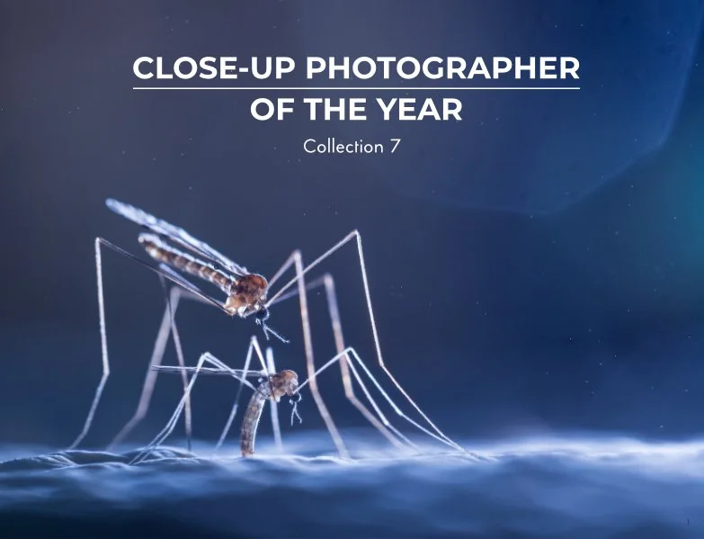 The cover of the CUPOTY 7 ebook