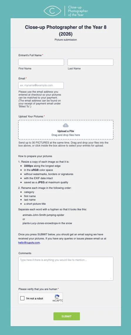 An image of the form used to send pictures to CUPOTY 8.