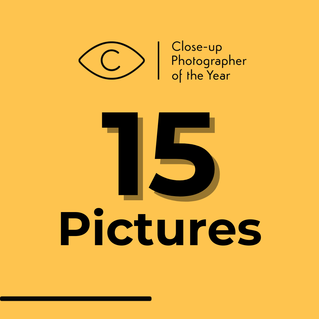 15 pictures