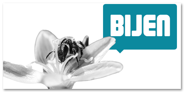 Bijen vs2 Beeld_600x300_01.png