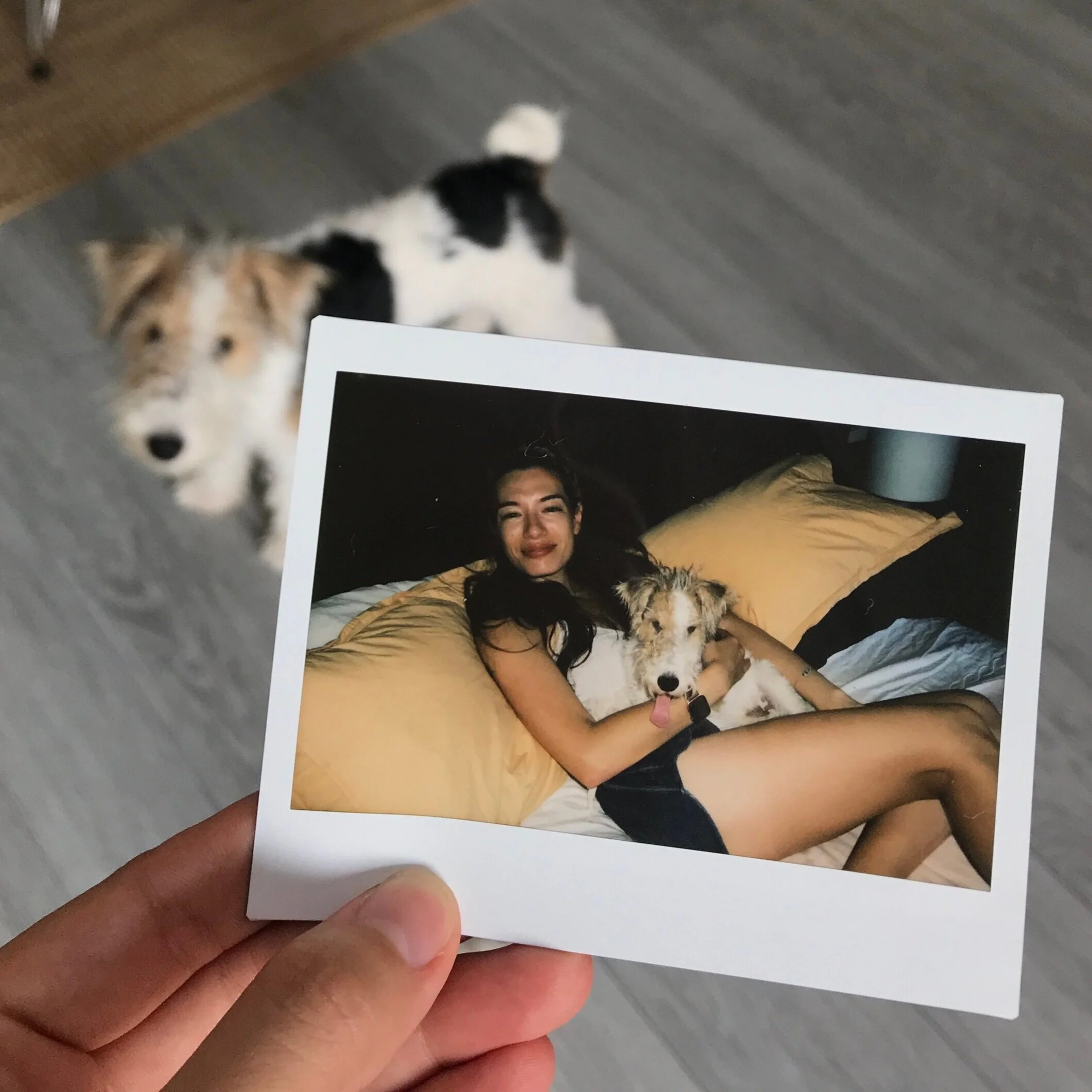 The Dog Days of Summer