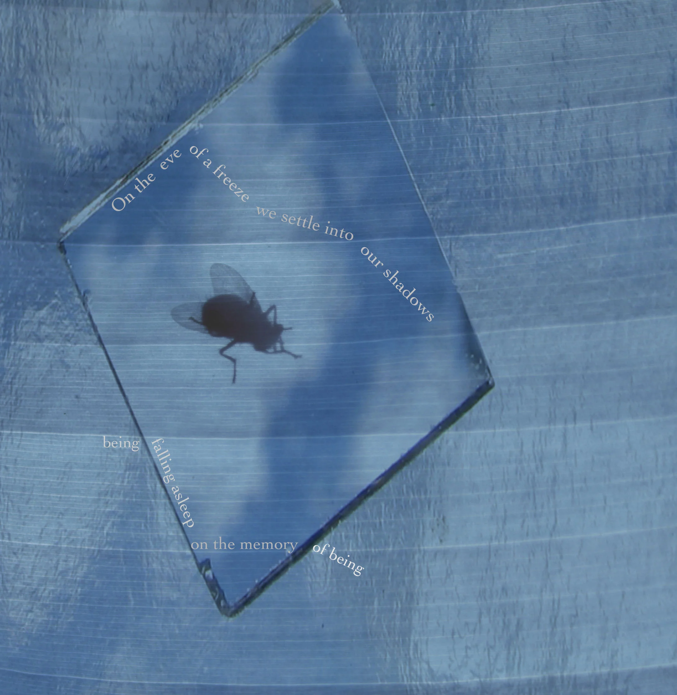 (On the eve of a freeze we settle into our shadows/ Being falls asleep on the memory of being)