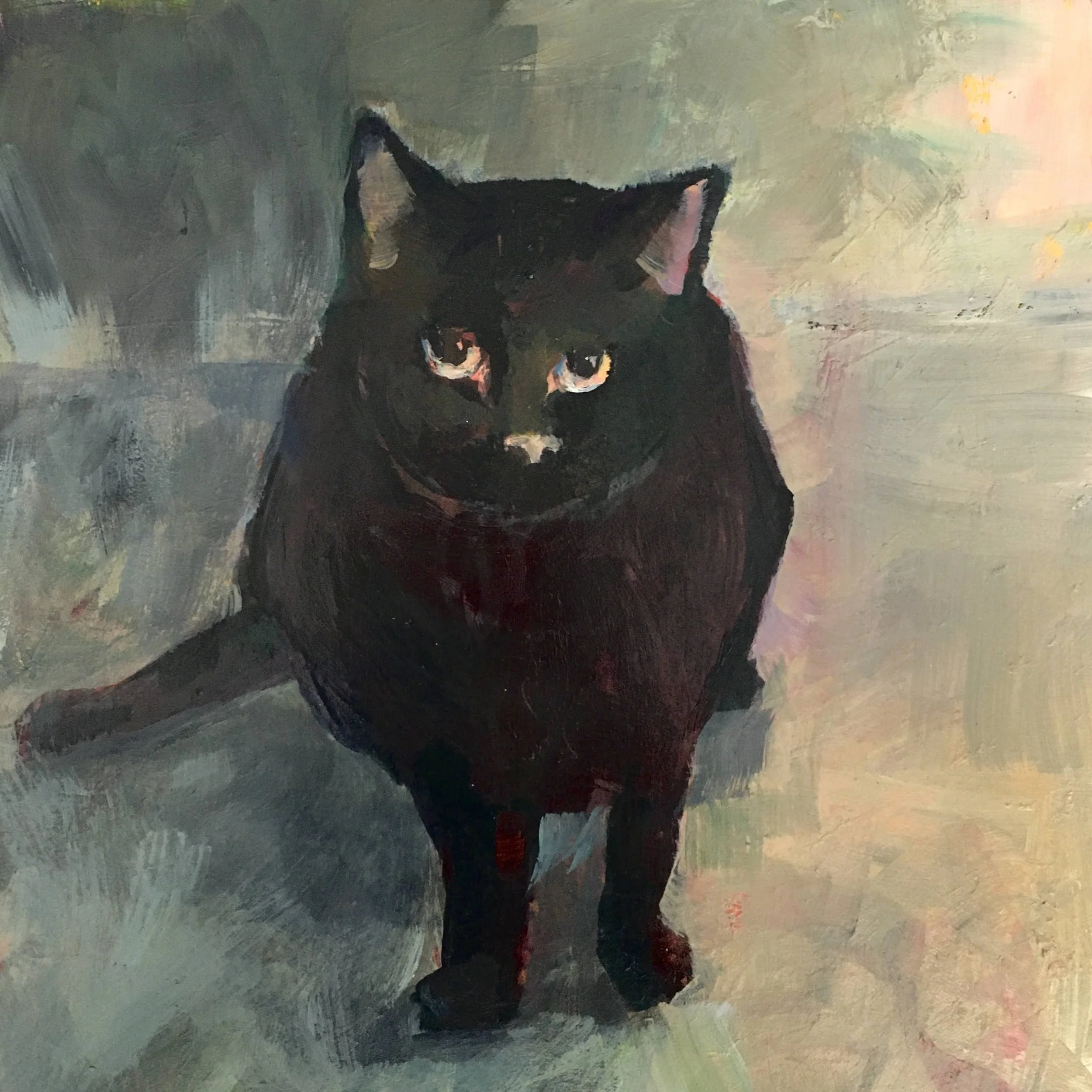 black cat 2023.JPG