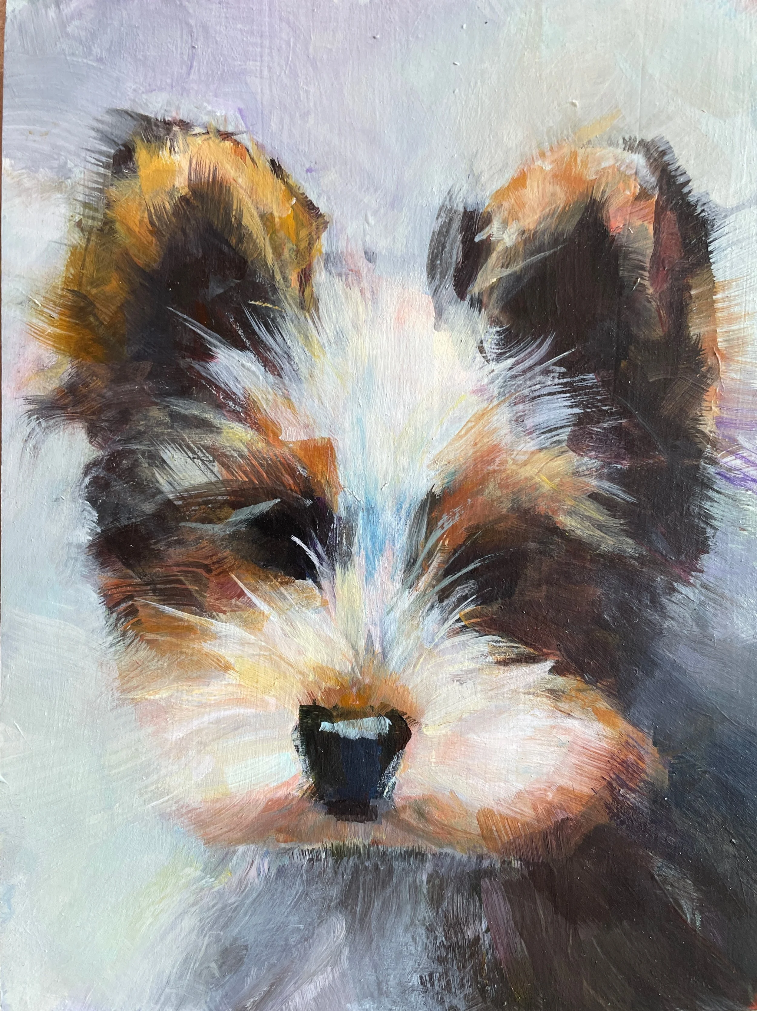 COMMISSION terrier Rob Gimmett 2025.JPG