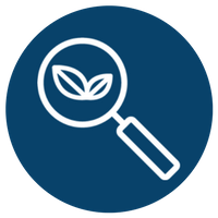 Copy of Veltig Icons Teal.1200x200px (4).png