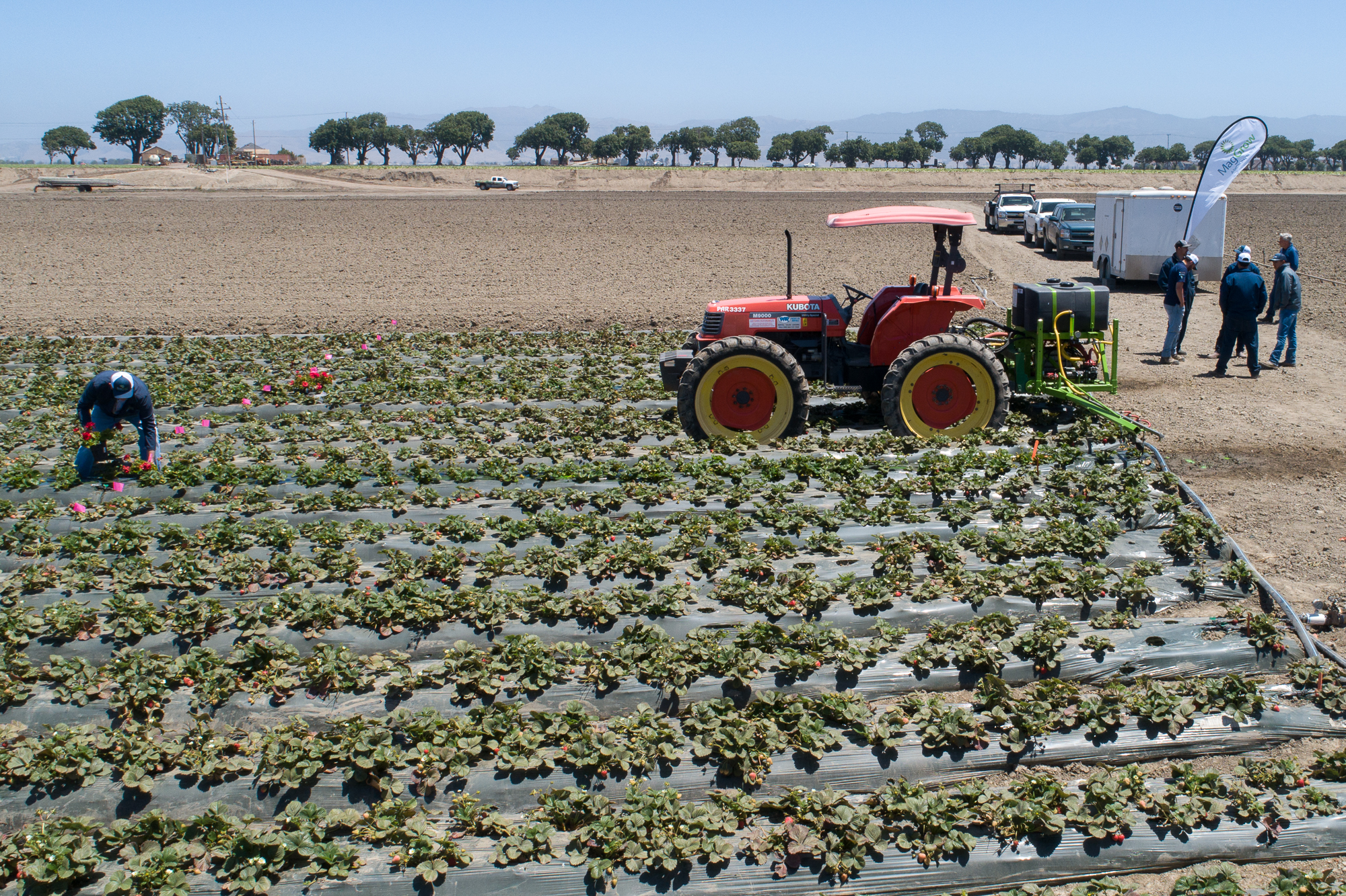 2018_PAR_MagGrow_PacificAgResearchDemo_0302 web.jpg