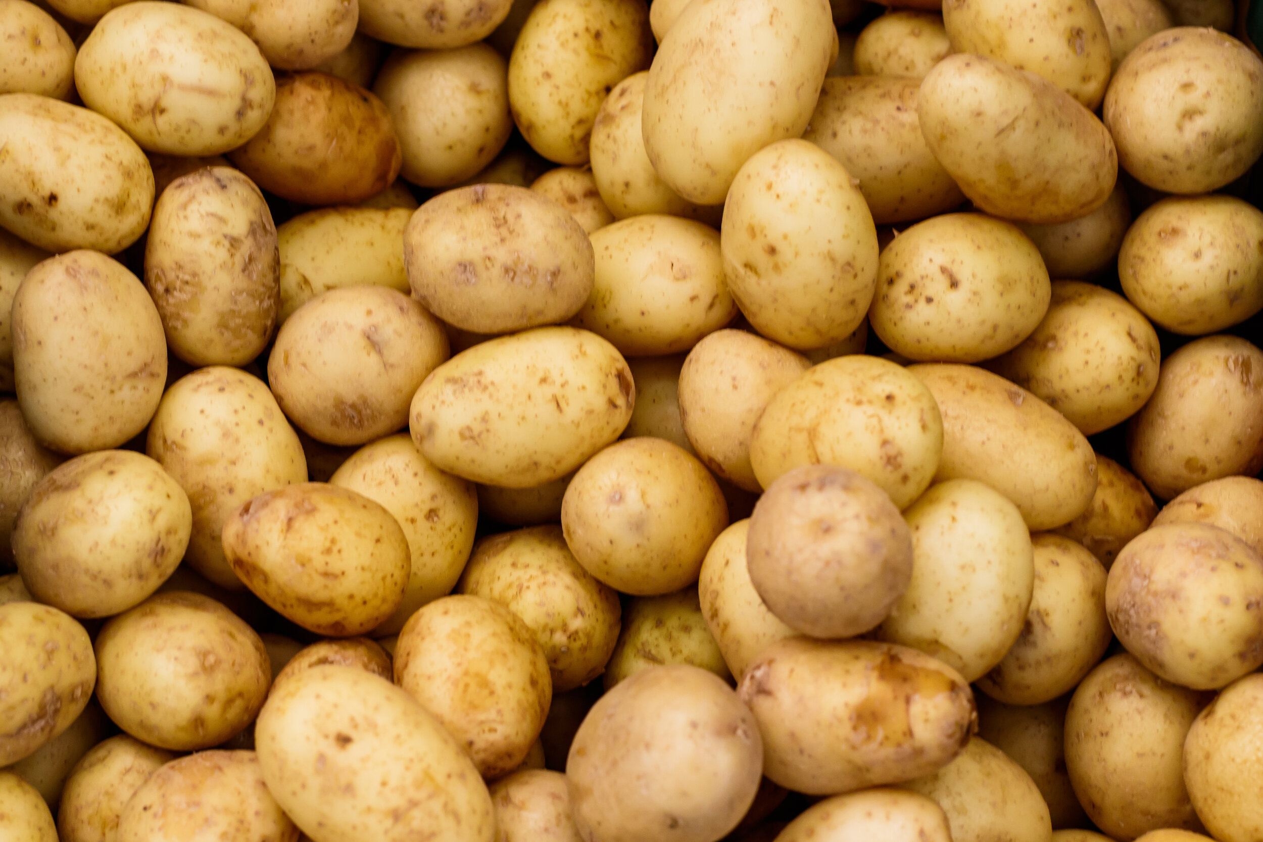 AdobeStock_159505511.jpeg