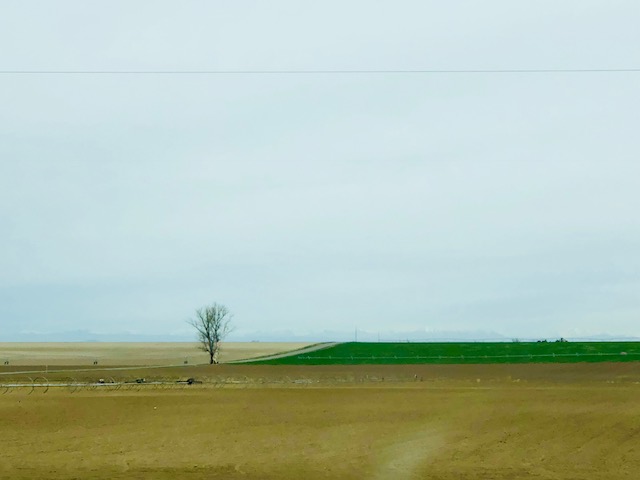 plains.jpg