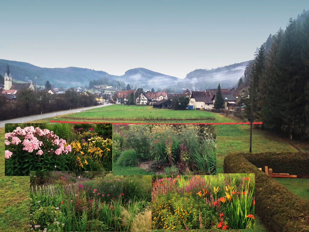RZS_Ort_Garten_04.jpg
