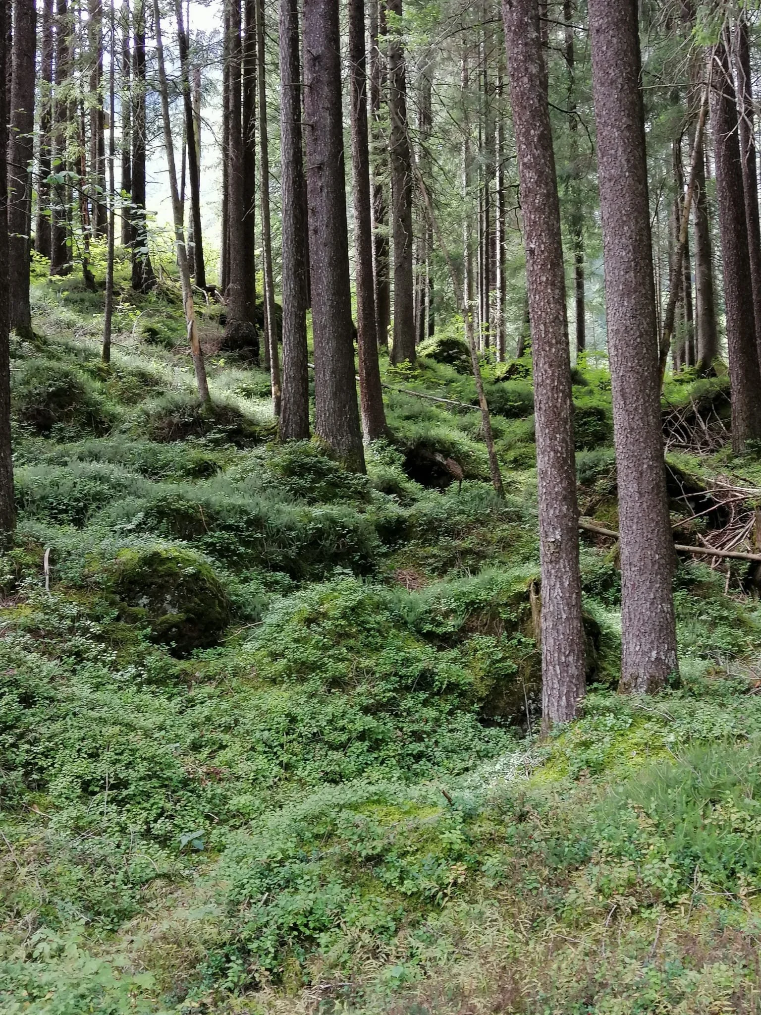 Rückzug im Grünen, Kleinlützel, Auszeit, Gestalten, Kreativität