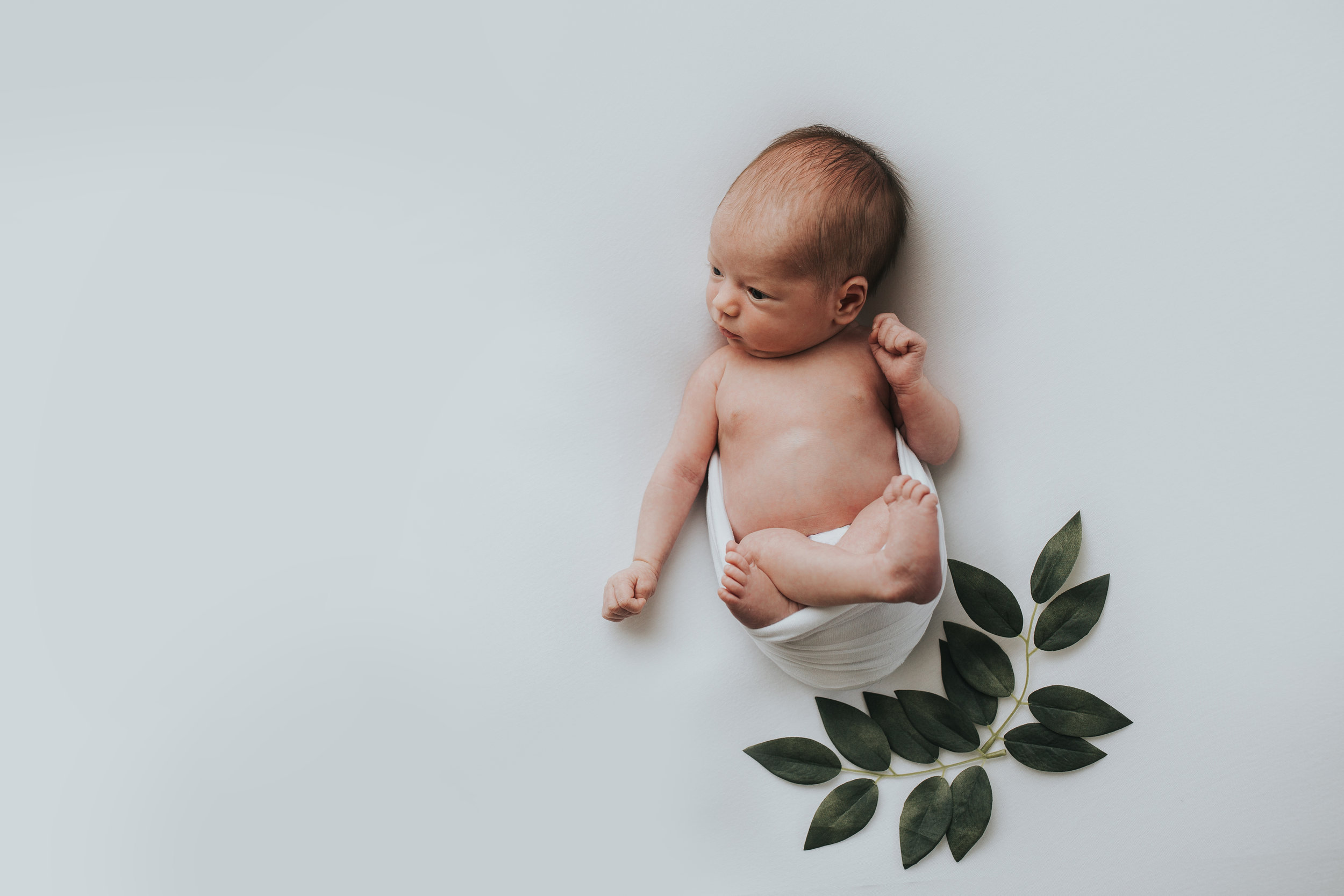 Newborn photographer in Evans