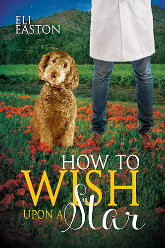 HowToWishUponAStar-Howl4-500.jpg