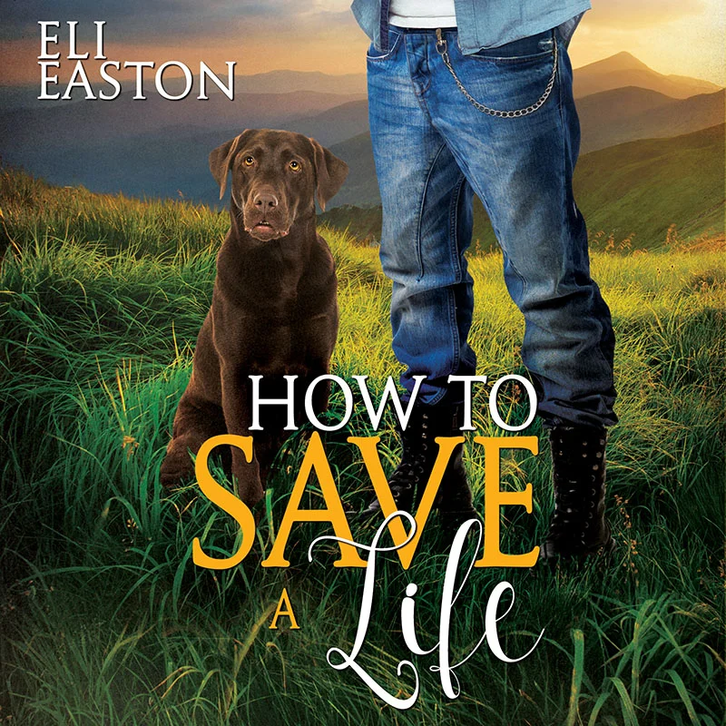 HowToSaveALife-audiobook 800.jpg