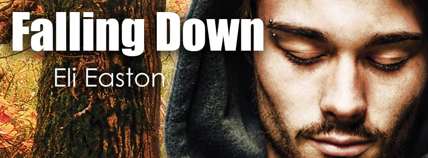fALLINGDOWNBANNER.jpg