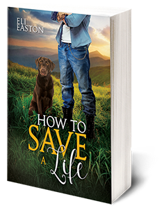 3D-HowToSaveALife-3D300.png
