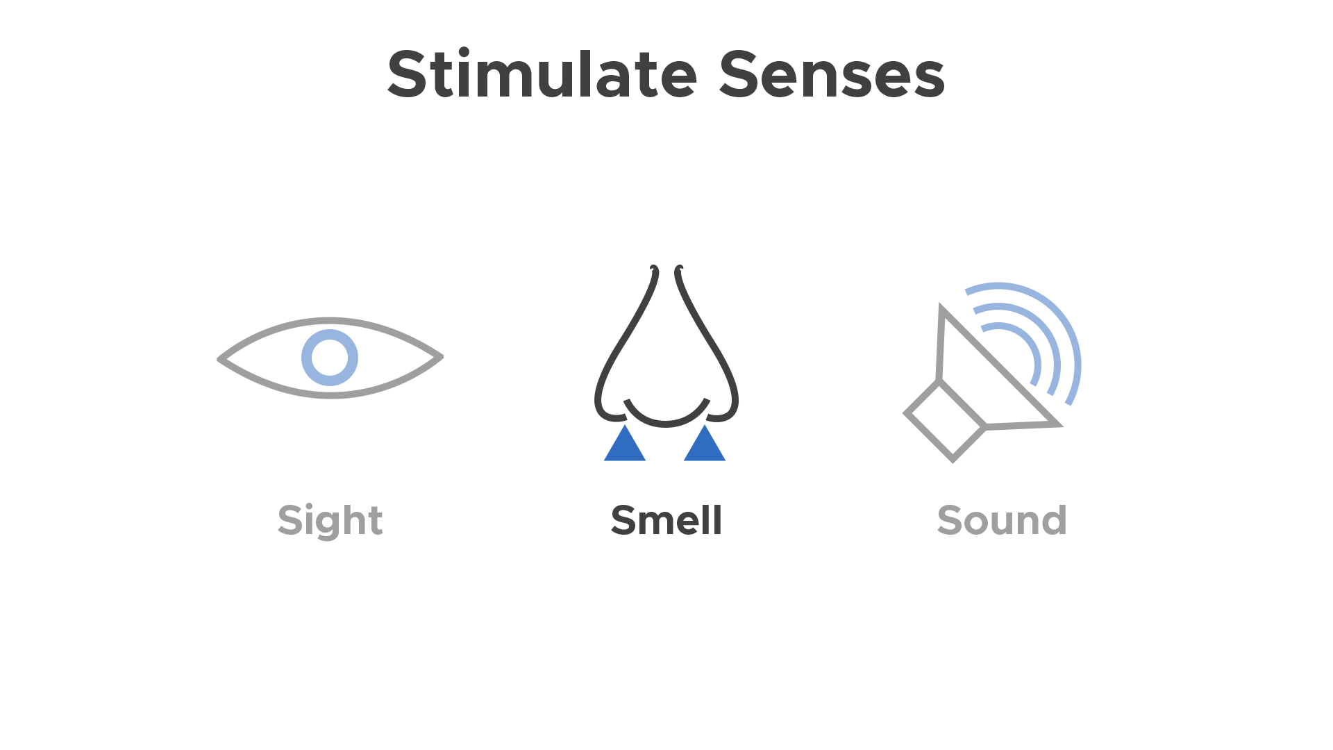 StimulateSensesCorrectionPage.png