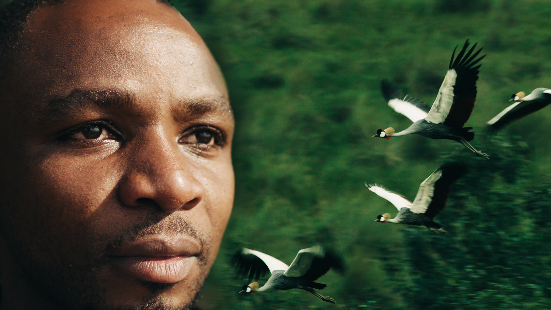 Tusk Awards - Olivier Nsengimana