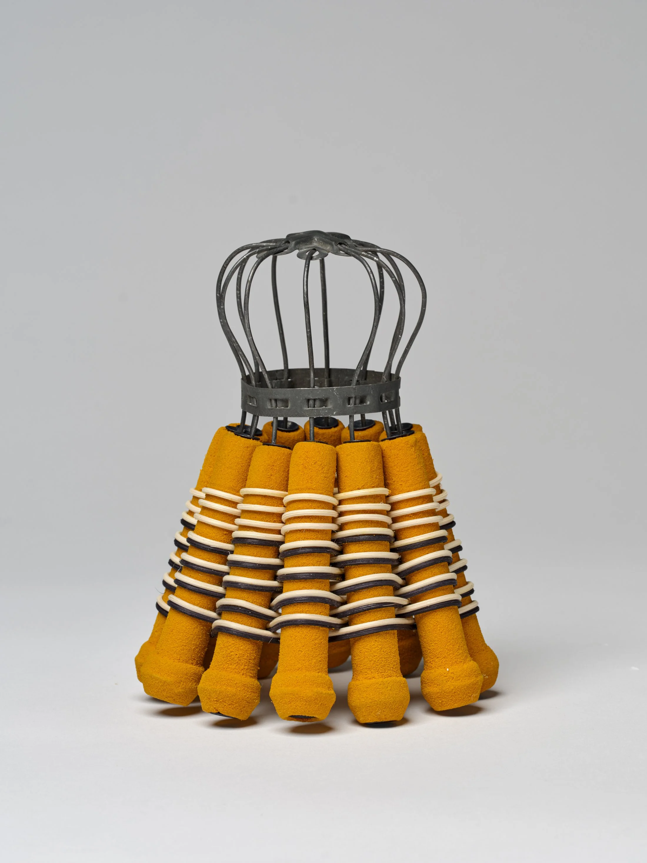 CASKEY_Apis mellifera_Web Res_AW.jpg