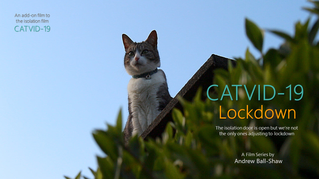 CATVID-19 Lockdown (short film, 2020) - COMPOSER