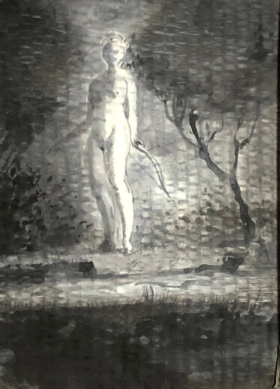 Artemis-moonlight-cropped.jpg
