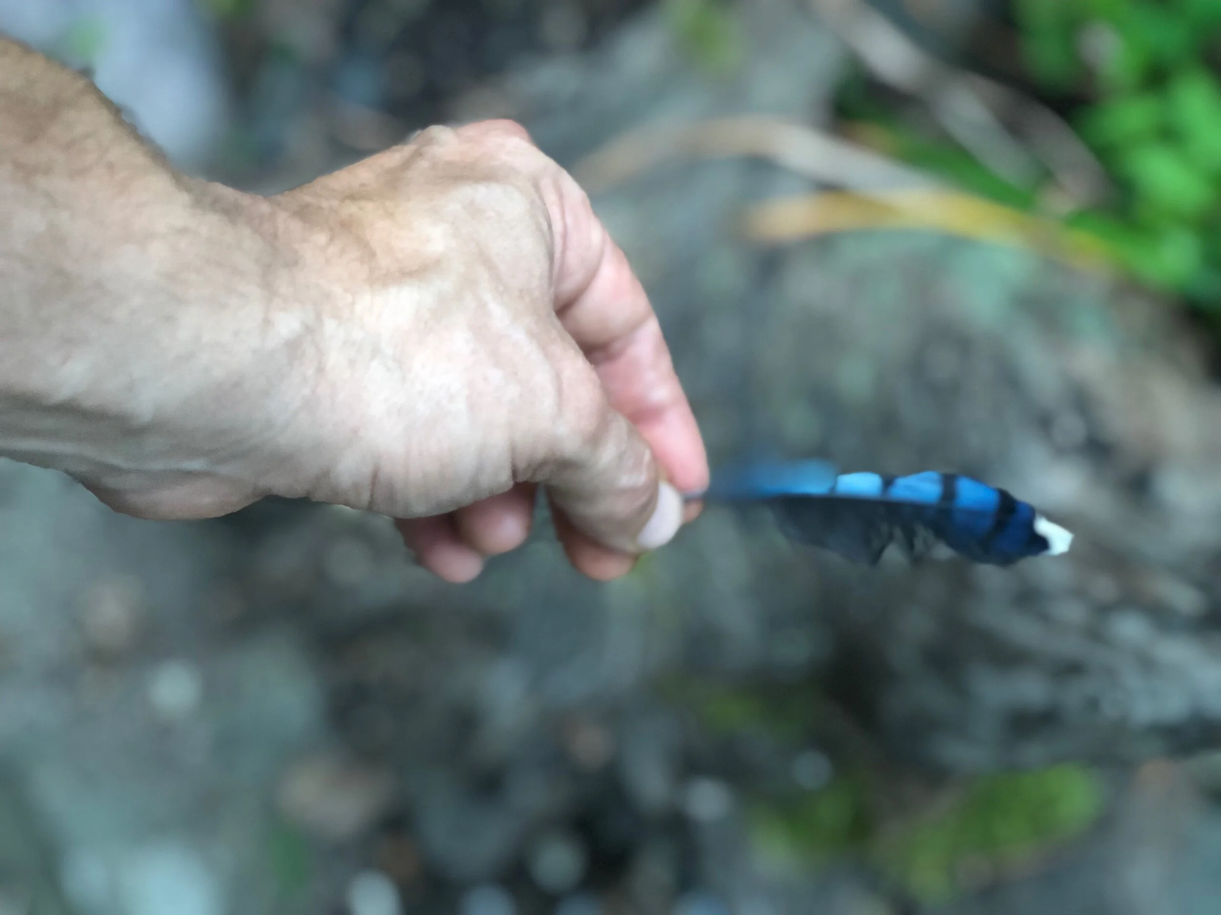 809F1D01-247B-4251-BC90-E4485F1AC5EC