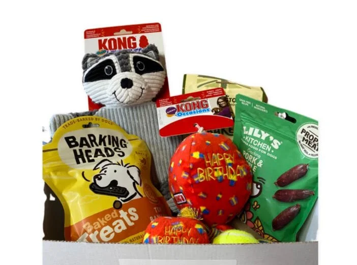 The Kennel Club Pet Insurance Dog Birthday Box — Love Louie