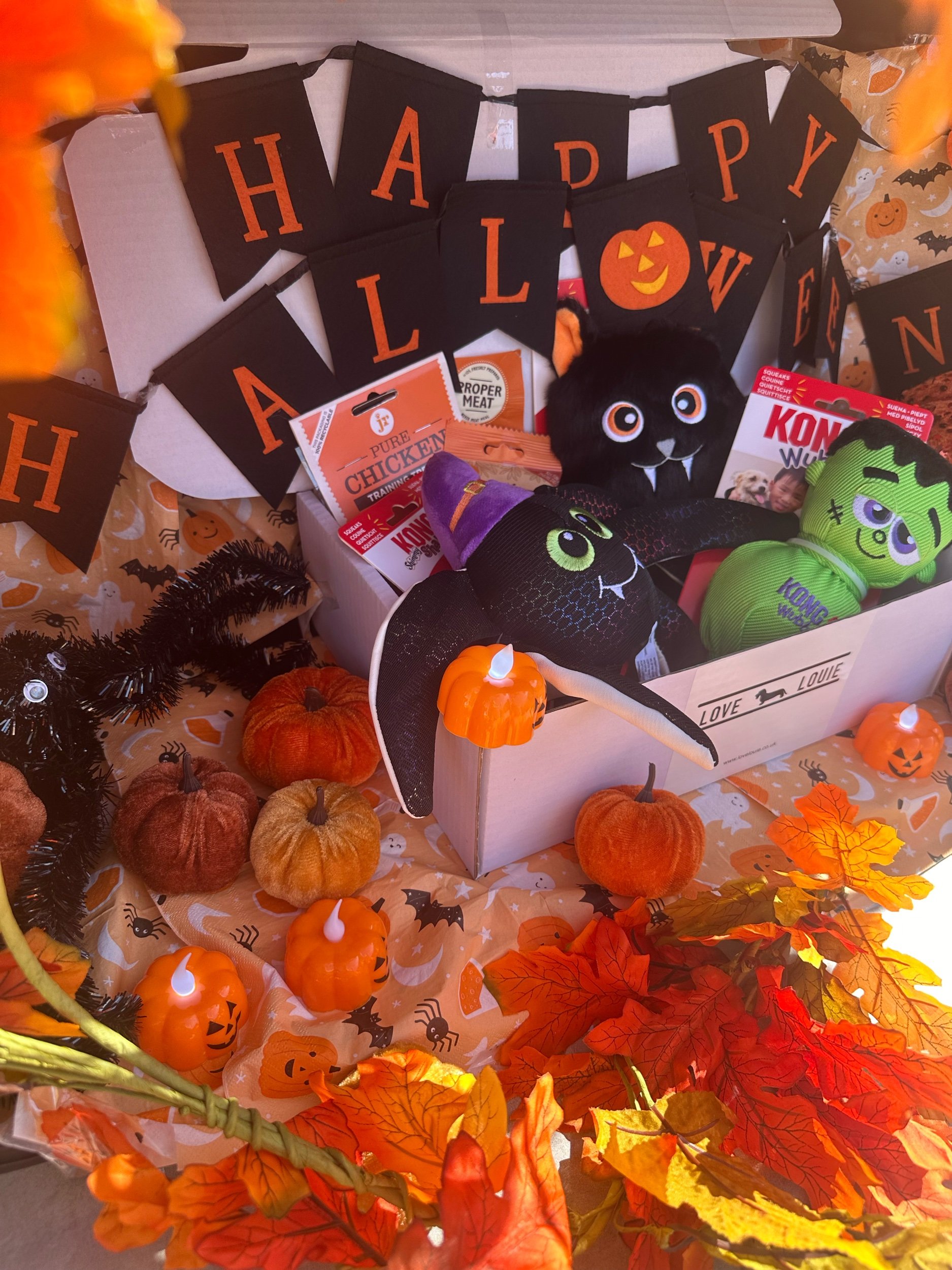 Halloween box for dogs