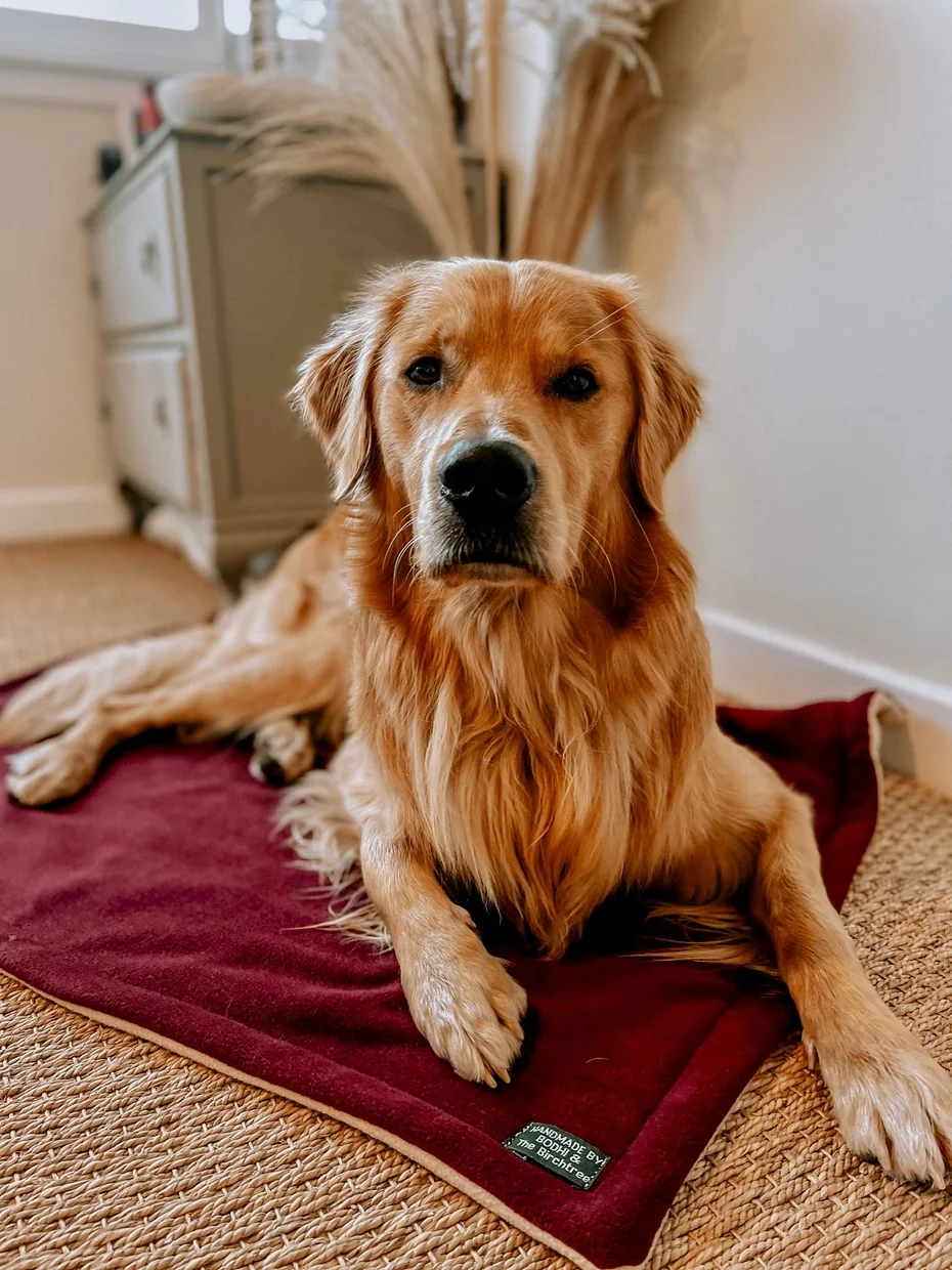 Bodhi & The Birchtree Polar Fleece Blanket (various colours)