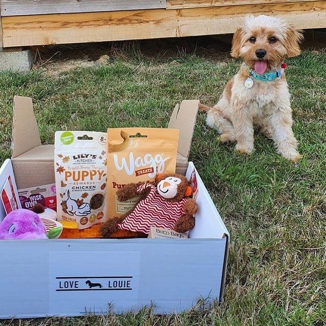 box5.jpg