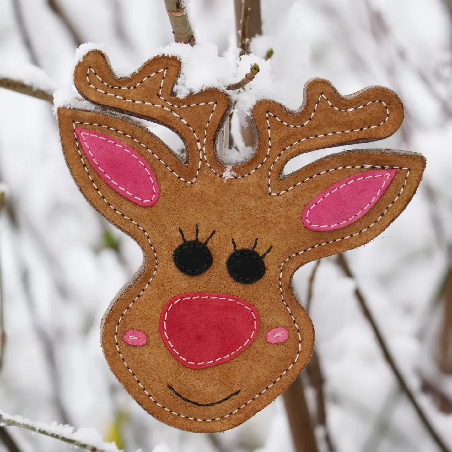 Rudy the Reindeer Christmas Eco Dog Toy