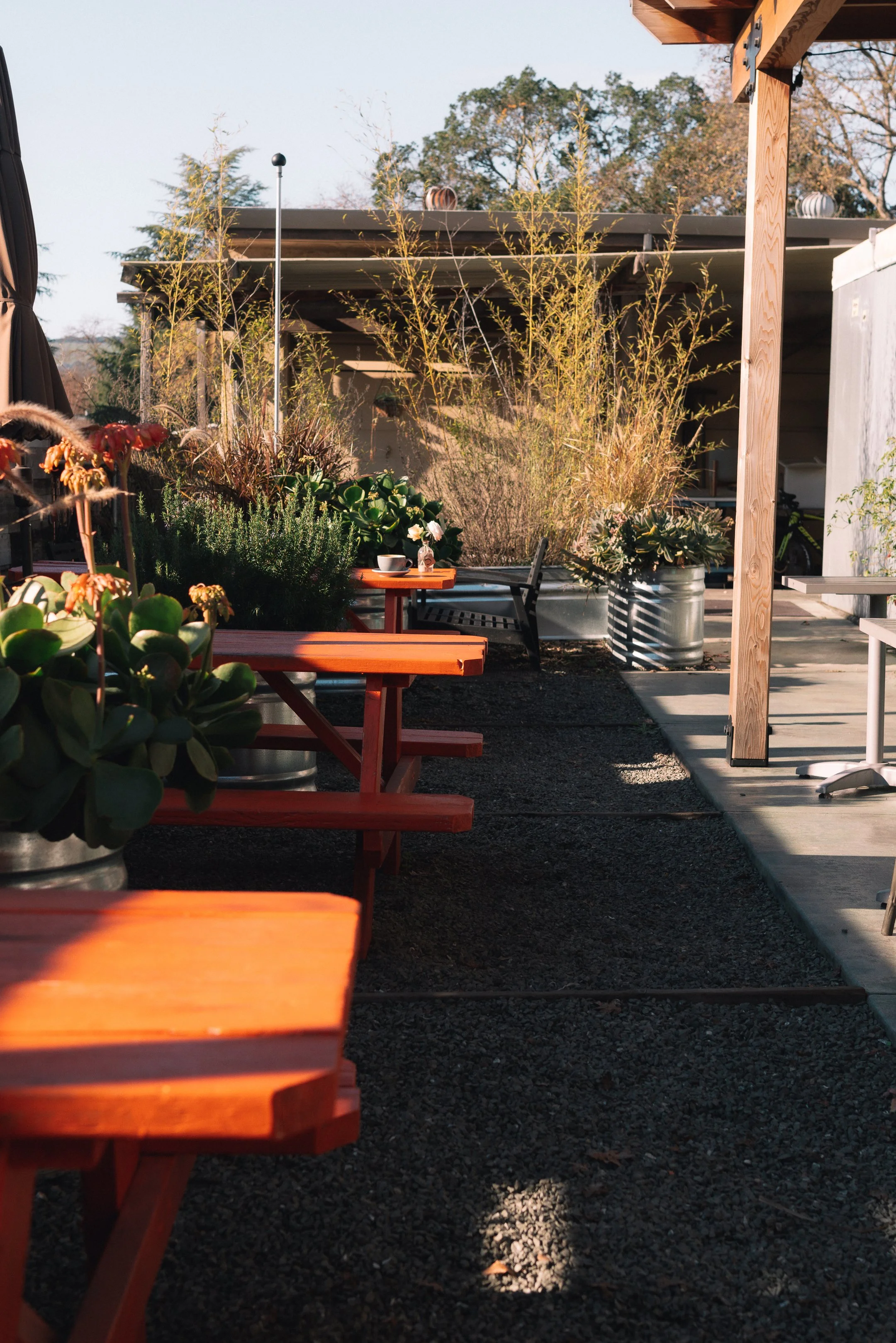 Baker and Cook-57.jpg